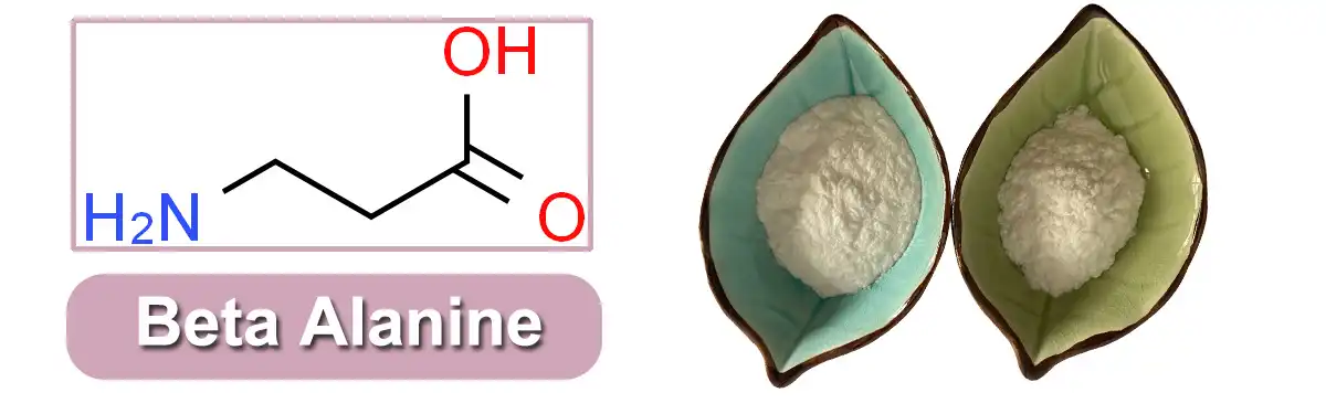 Beta Alanine New.jpg